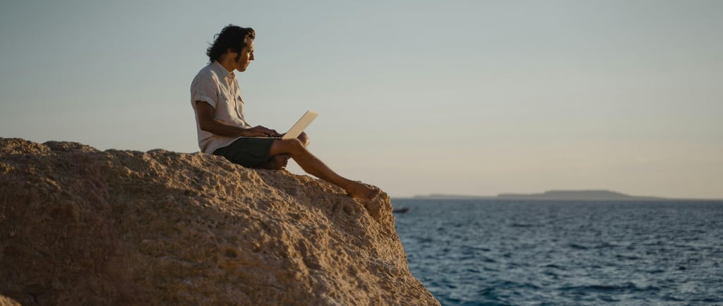 a man sitting on a rock with a laptop