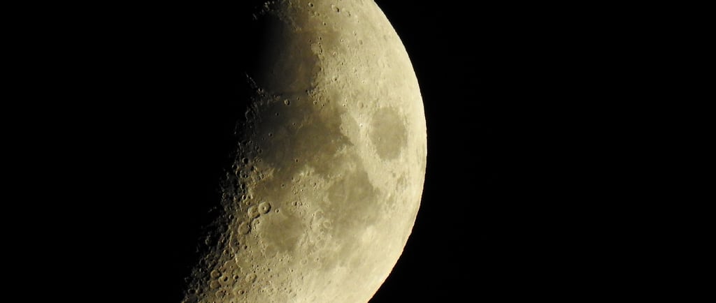 The moon