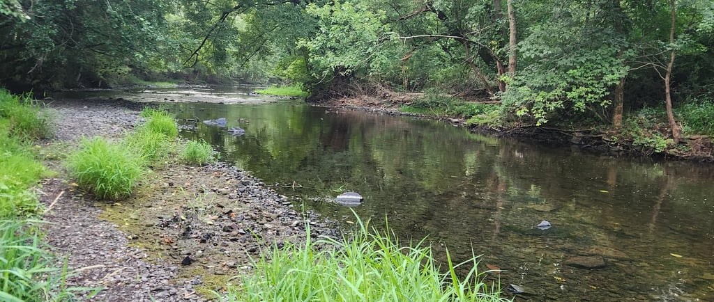 creek fishing