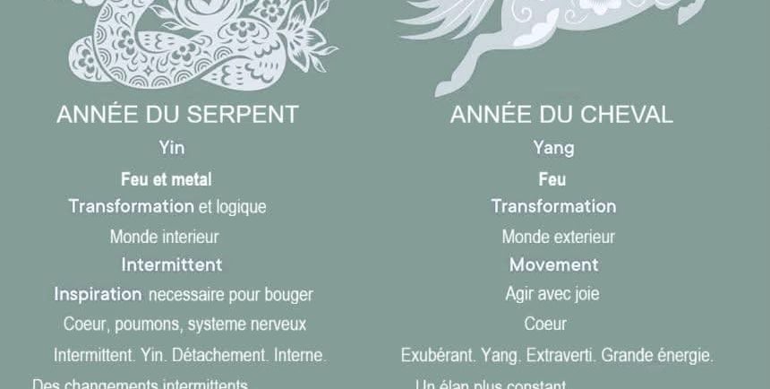 feng shui energie 2026