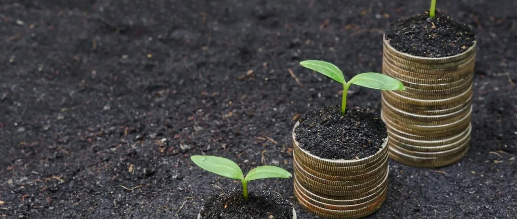 a stack of coins with a plant growing out of it
