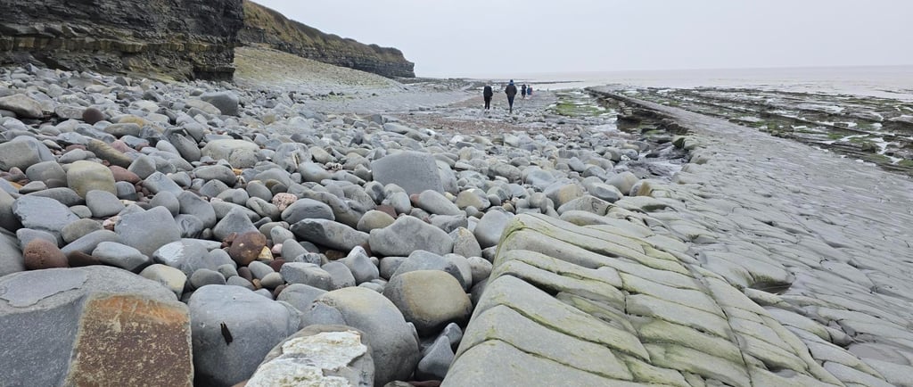Kilve beach in Sommerset! Full of fossils!