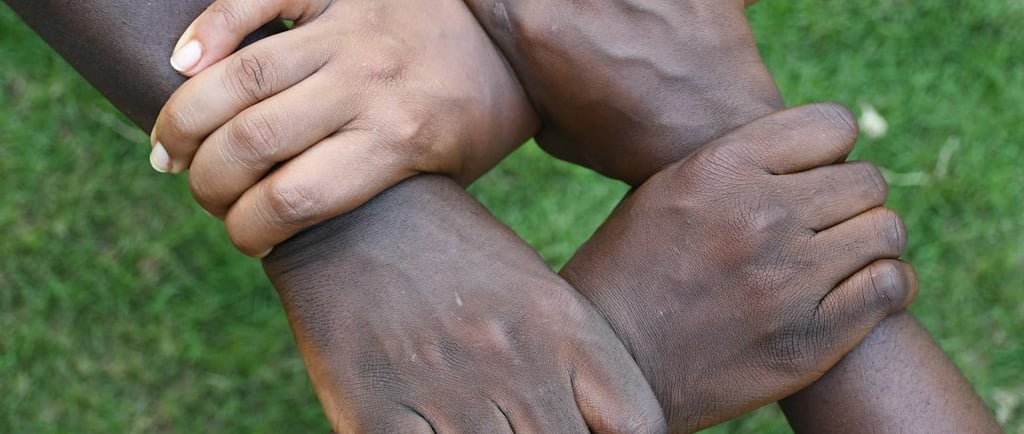 Solidarité Akut Diaspora