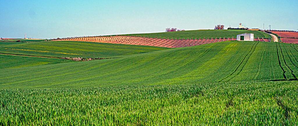 Land Market Demonstrates Price Resilience