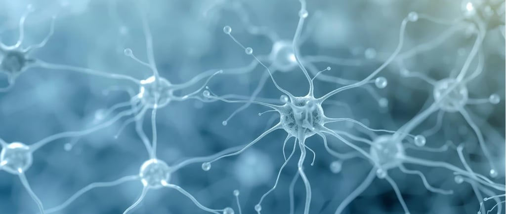 Изображение нейронов, соединённых между собой тонкими отростками. Иллюстрация показывает сеть нервы