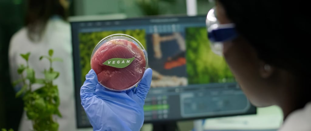 bolsas pouch de grado alimenticio