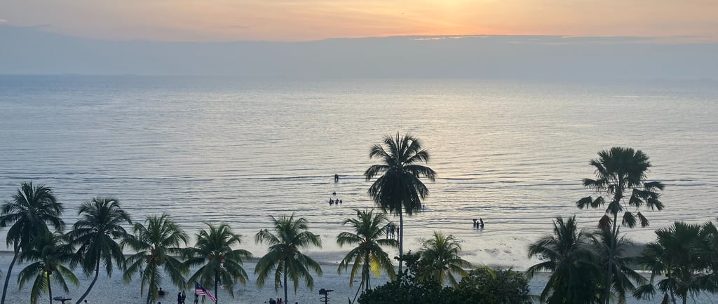 Beachfront view with palm trees