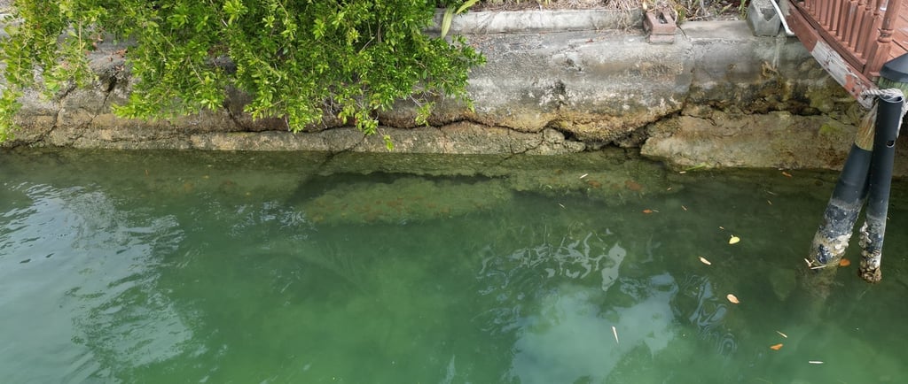 old sea wall repair