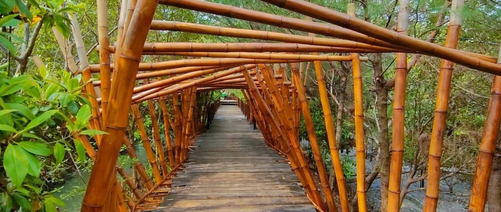 Eco Wisata Mangrove Wonorejo Surabaya