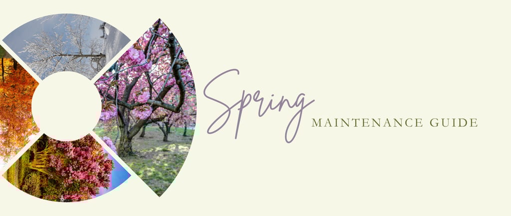 Spring landscape maintenance in Williamsburg, VA with cleanup, pruning, mulch, irrigation checks, and masonry repair.