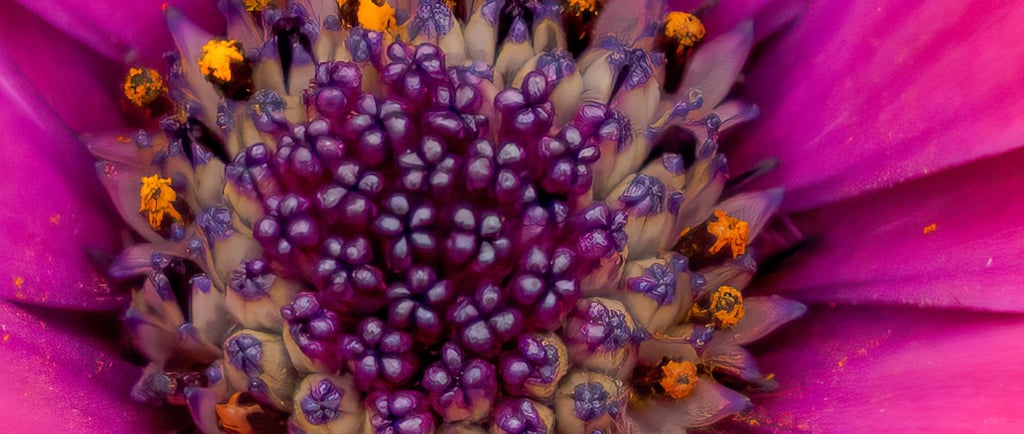 Seeing goals clearly enables accomplishment and empathy