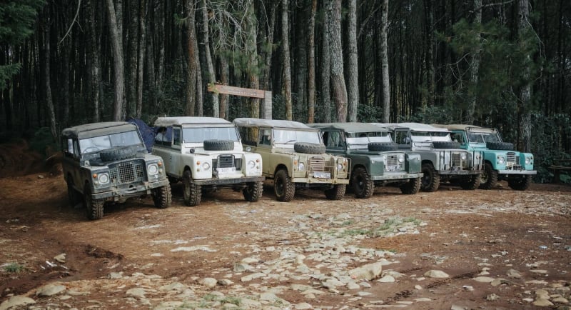 Deretan mobil Jeep Land Rover klasik untuk offroad di tengah hutan pinus Pangalengan