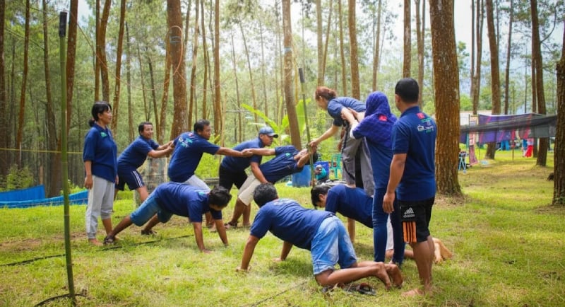 team building di hutan pinus, peserta outbound melakukan aktivitas kekompakan tim, pelatihan kerjasama kelompok di alam terbu