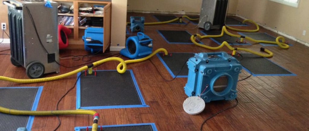 Air movers moving air, dehumidifiers removing water. Special water removing mats on the floors. 
