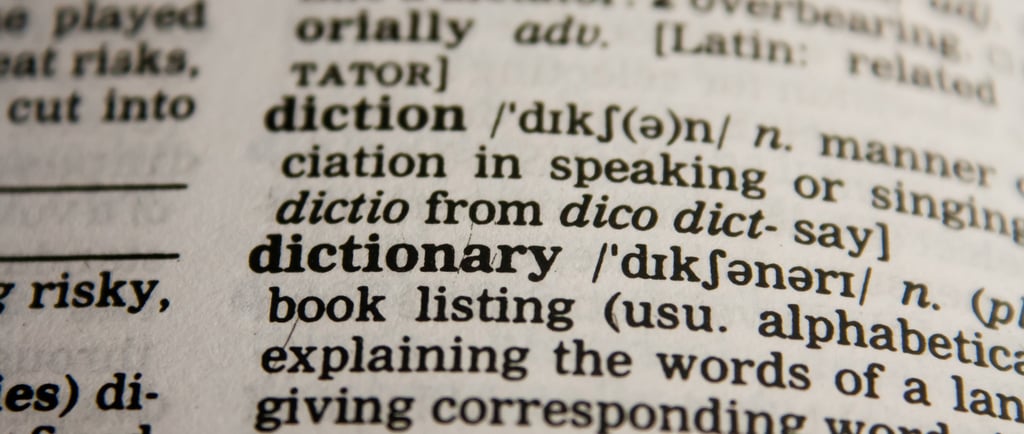 dictionary, data governance, data strategy, data acculturation