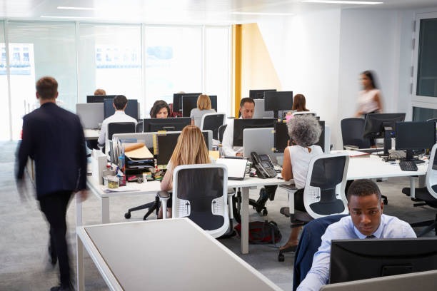 personas trabajando en escritorios en una oficina
