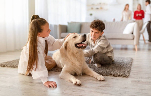 Una niña y un niño pequeño están jugando con un perro en la alfombra.