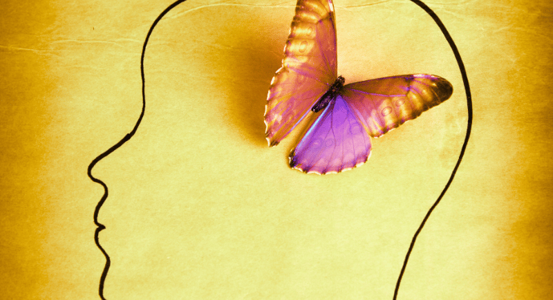 outline of profile, with a purple and yellow butterly where brain goes signifying mindfulness