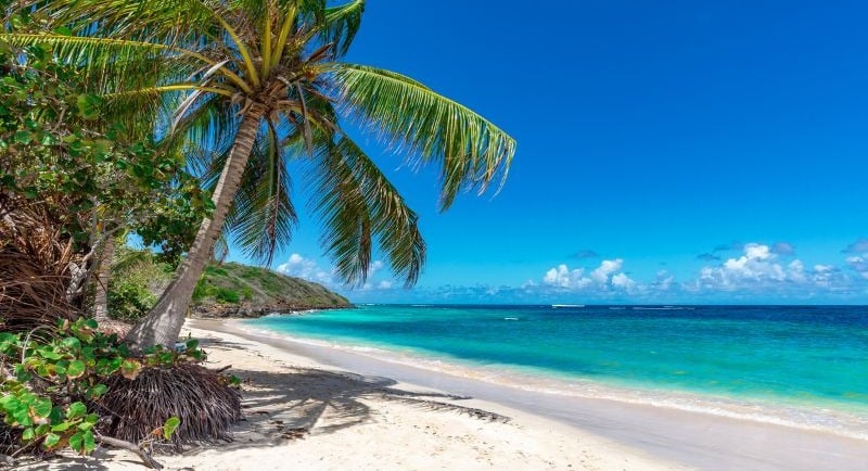Caribbean Cruise