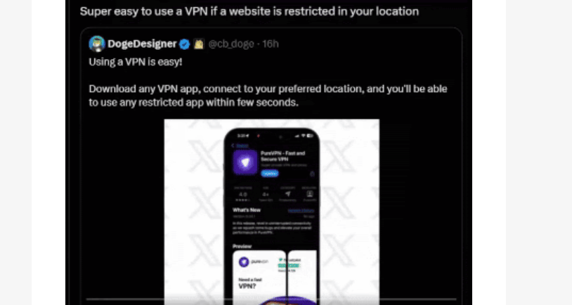 Pure VPN Elon Musk