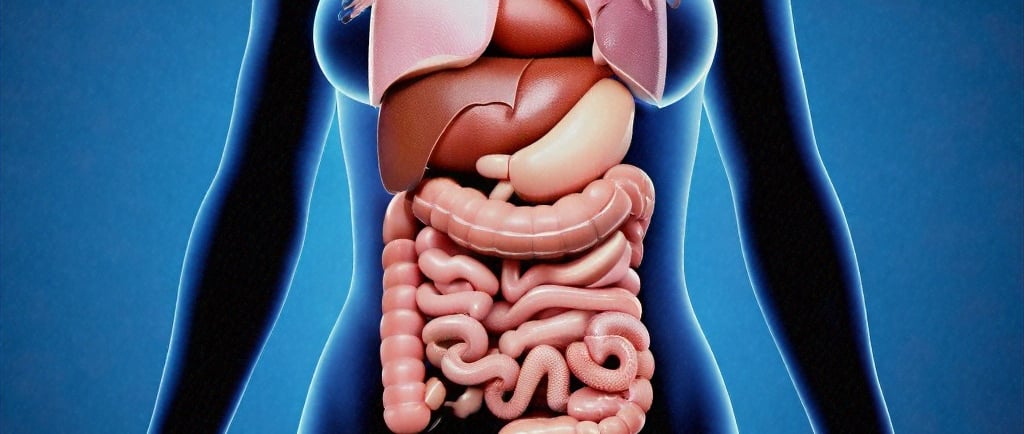 chronic diseases