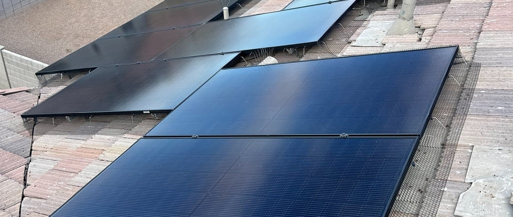 Solar panel bird proofing mesh installed to stop pigeons in Phoenix