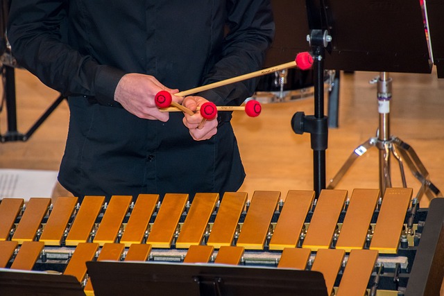 concierto de música con marimba