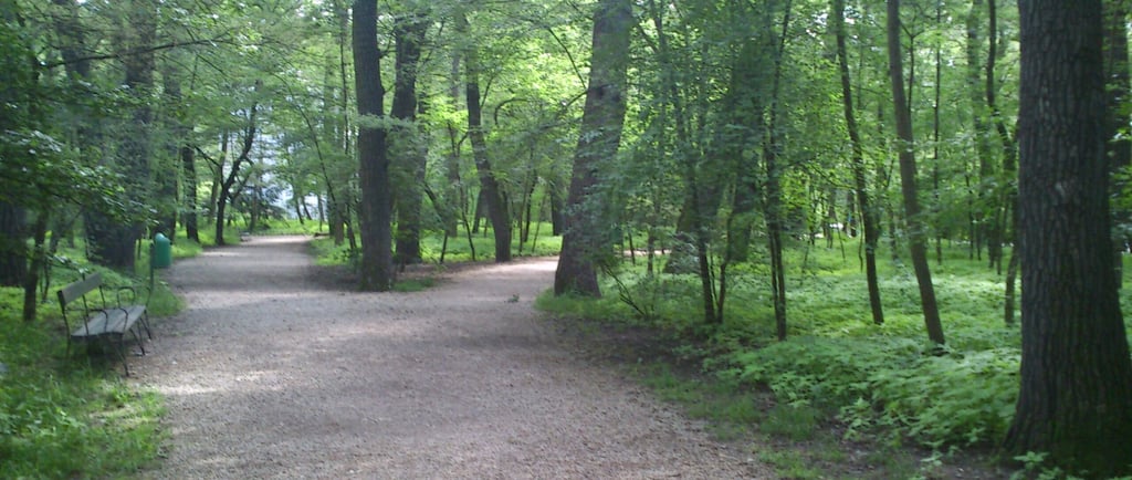 En mi paseo diario por jardines y bosques