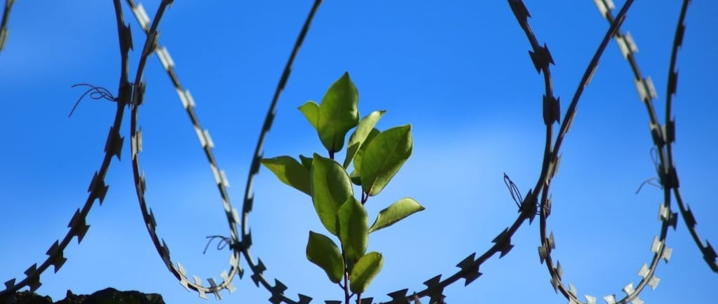 El encierro de nuestro ser por parte de nuestro ego
