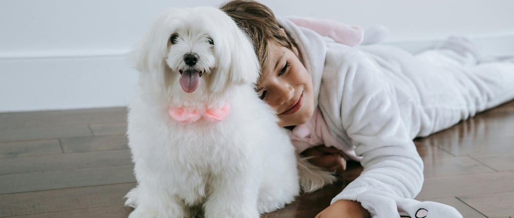 maltese e bambino