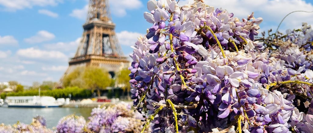 floraison printemps paris tour eiffel
