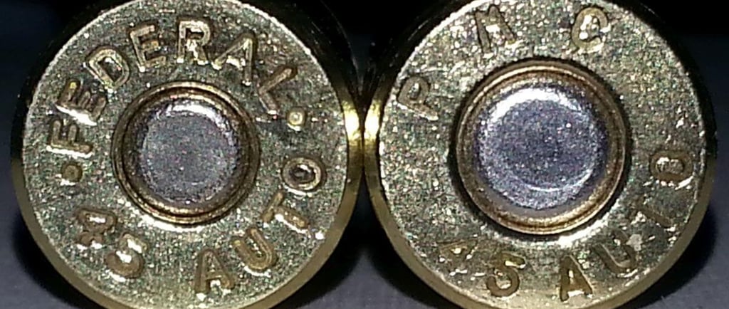 two federal brand .45 ammo casings