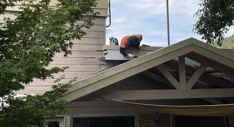 Using the camera to locate a carpenter ant nest
