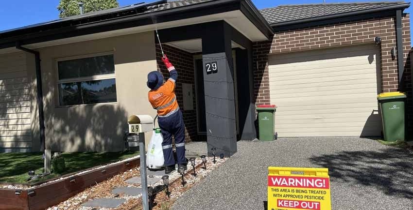 Pest control for spiders