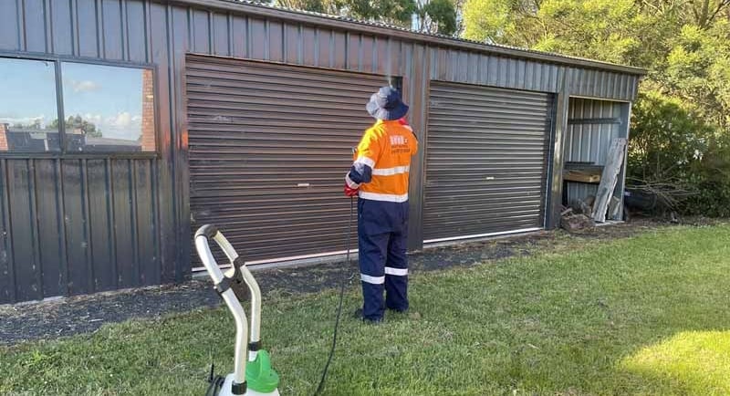 Pest control for spiders