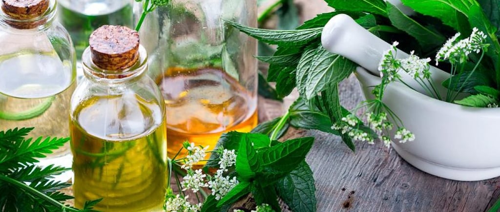 Ervas para banhos de proteção