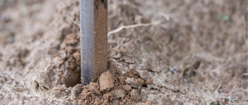 trufalab muestra de suelo