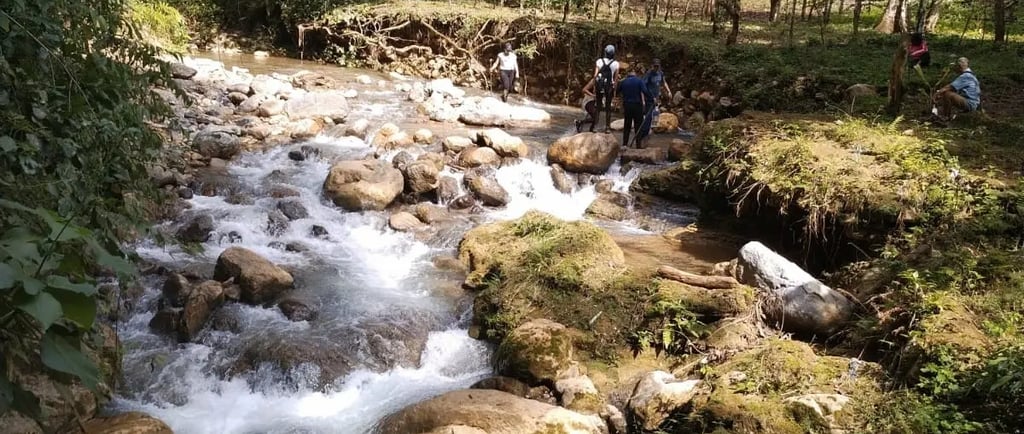 a stream running through a forest filled with people
