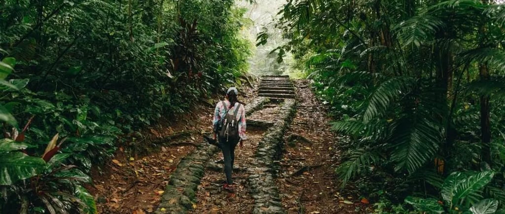 a man walking up a path in the jungle