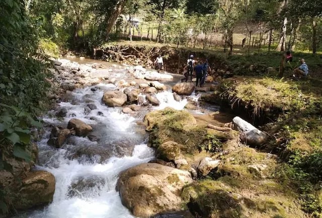 a stream running through a forest filled with people