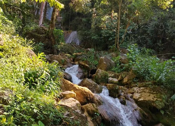 a waterfall in the middle of a forest
