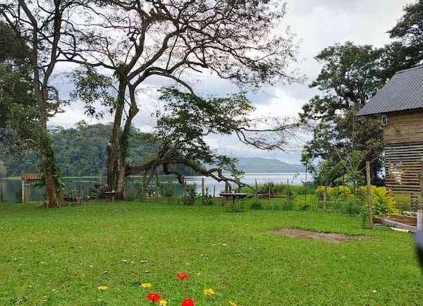 a dog is standing in the grass near a house lago de yojoa