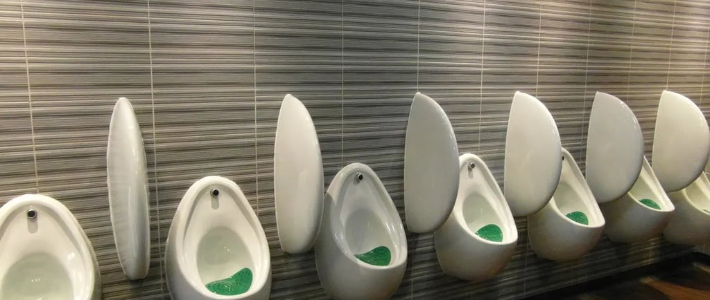 desodorización de baños