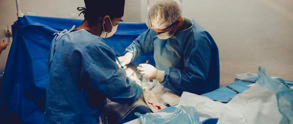 How to Build a Future-Proof Strategy for Digital Marketing and Healthcare Growth