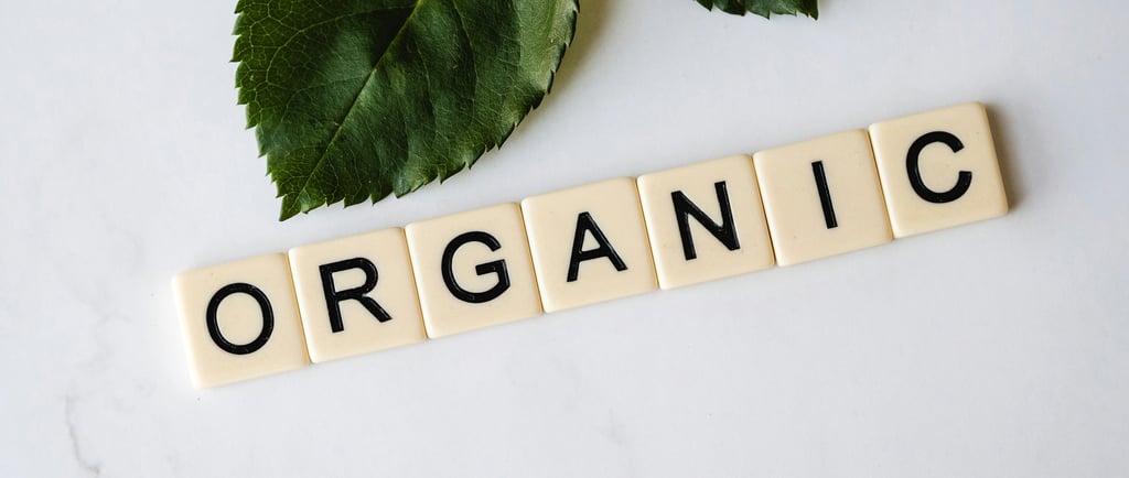 DigiCroiX Solutions Understanding Organic Traffic The Key to a Sustainable Online Presence