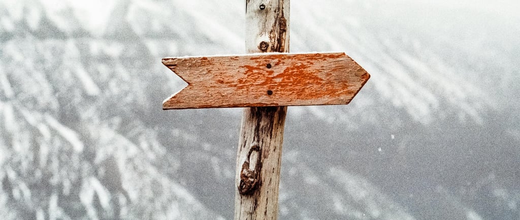 Want to increase website traffic Let SEO lead the way