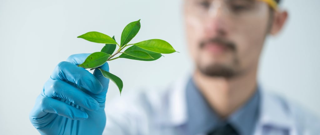 Why Advertising on Hospital Premises Still Works in 2025