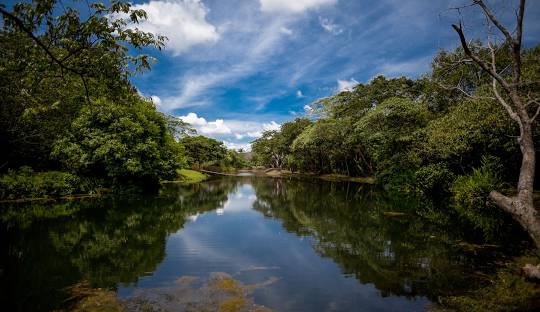 Agência de marketing para clínicas com IA em Mato Grosso