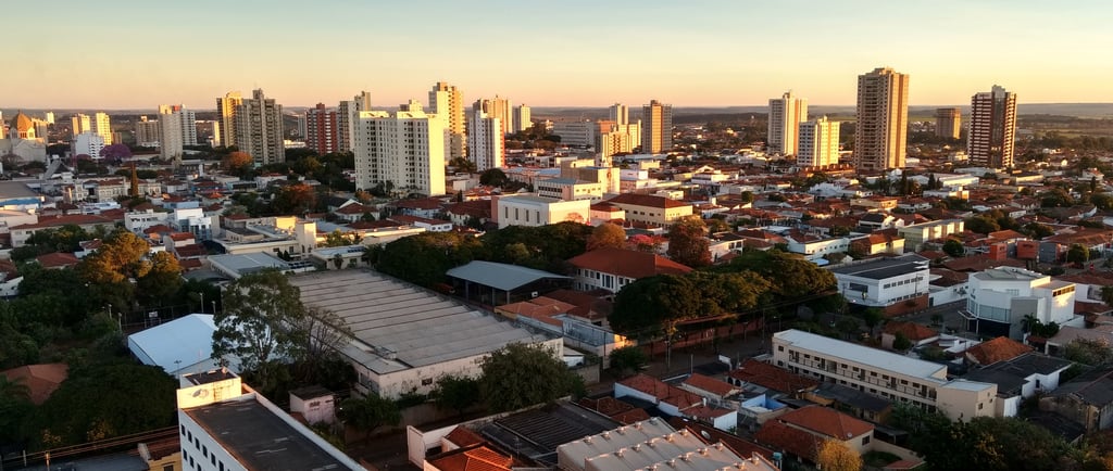 Gestão de Redes Sociais para Angiologista em Araraquara