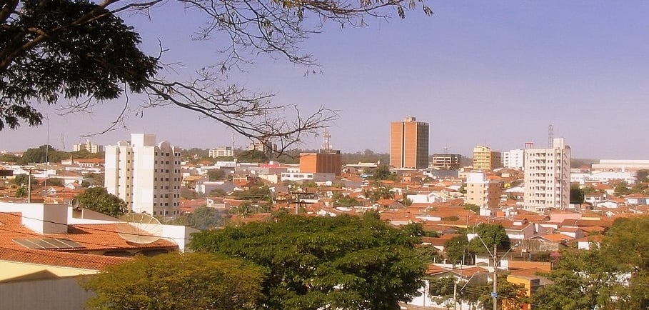 Gestão de redes sociais para Neurologista em Araras